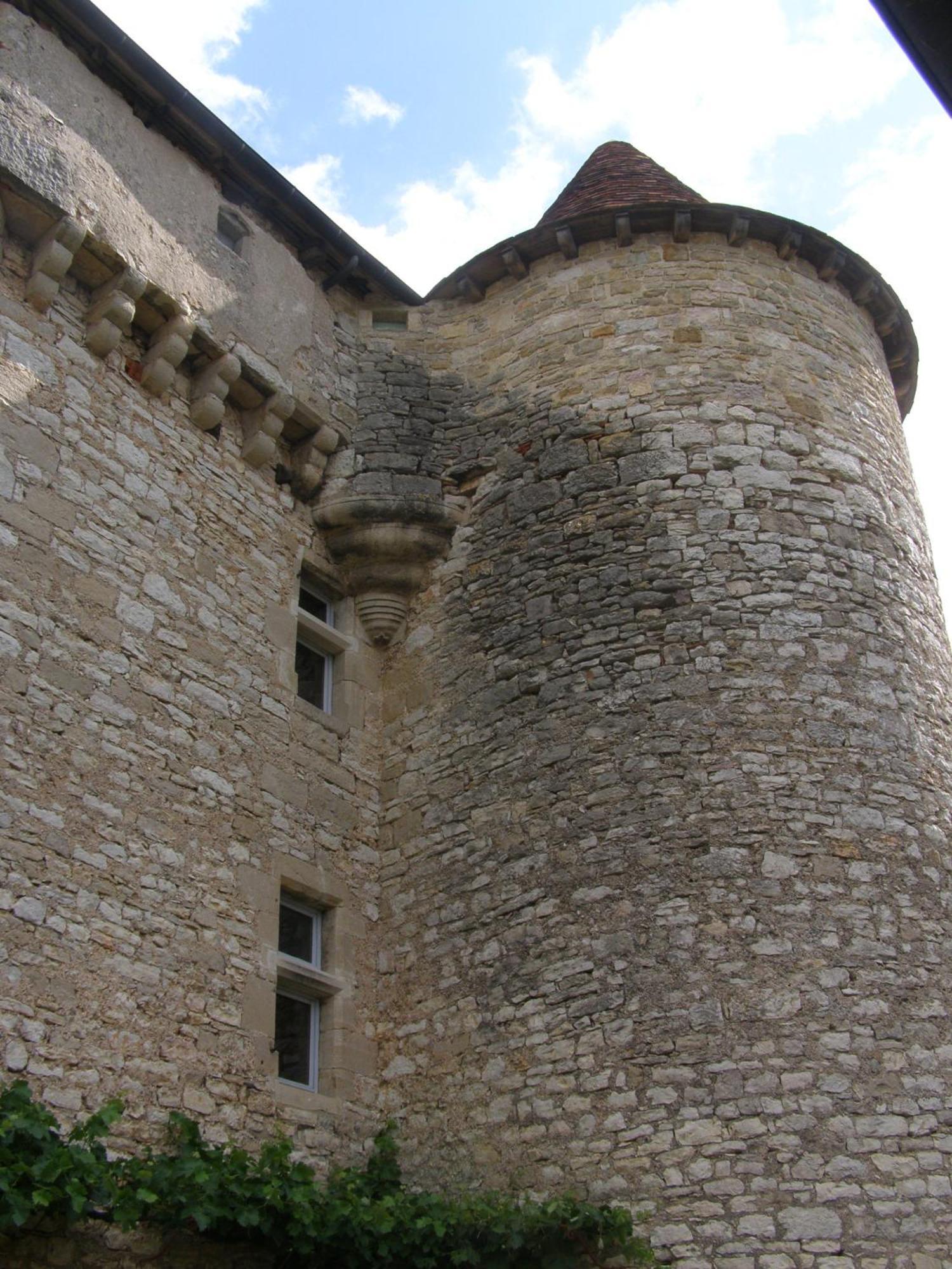 Chateau De Camboulan Ambeyrac Exterior foto