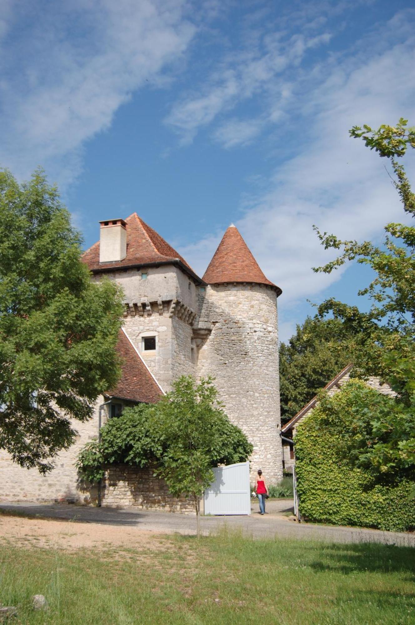 Chateau De Camboulan Ambeyrac Exterior foto